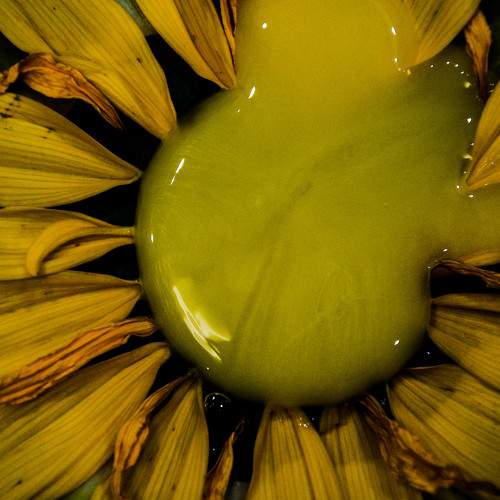 Photo #6290607