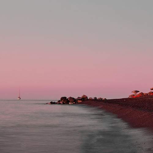Photo #6291021