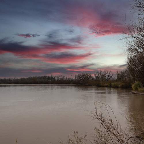 Photo #6291179