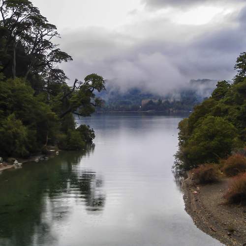 Photo #6291189