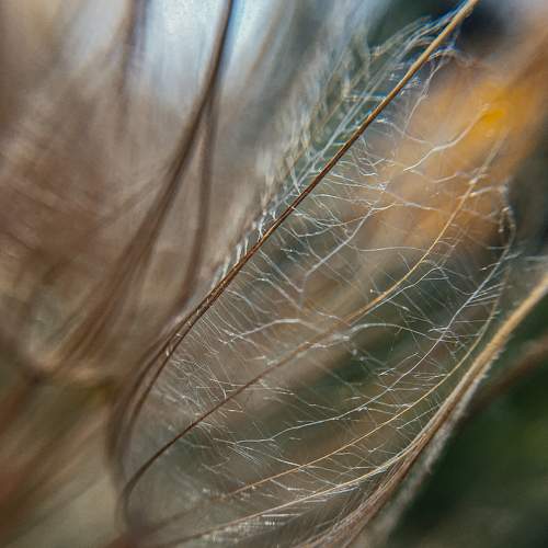 Photo #6291272