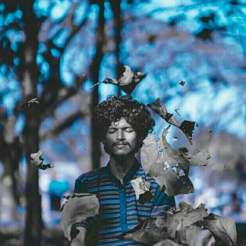 Photo #6291618