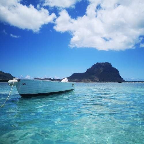 Photo #6291699