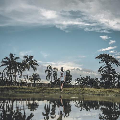 Photo #6291820