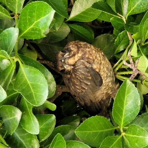 Photo #6292034