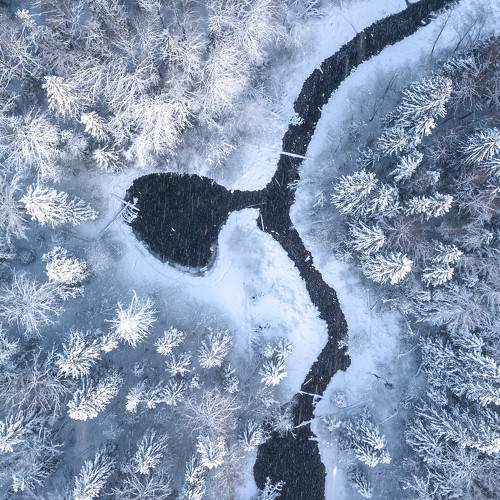 Photo #6292056