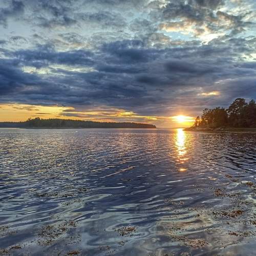 Photo #6292267