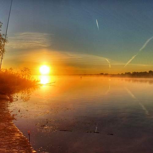 Photo #6292268