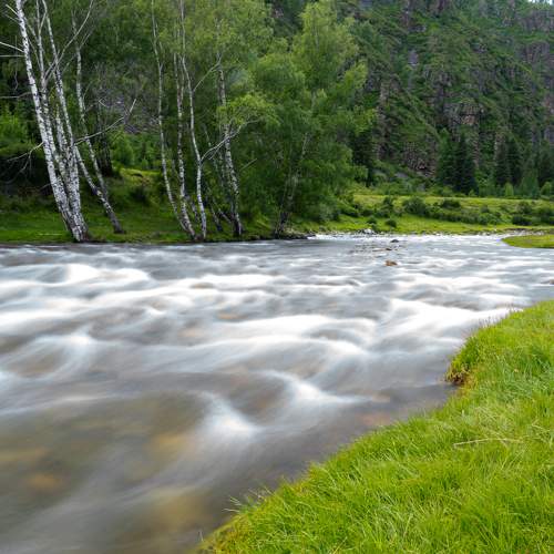 Photo #6292409