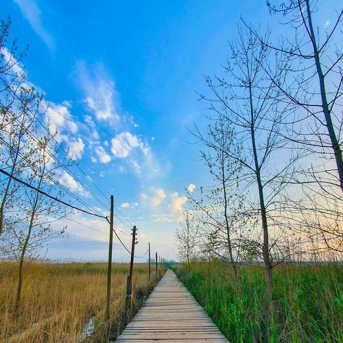 Photo #6292459