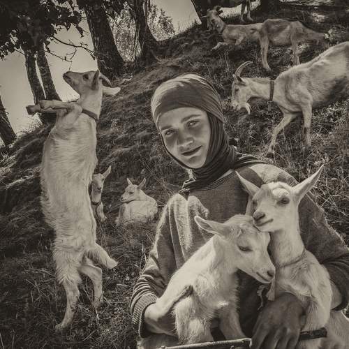 Photo #6292613