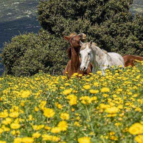 Photo #6293127