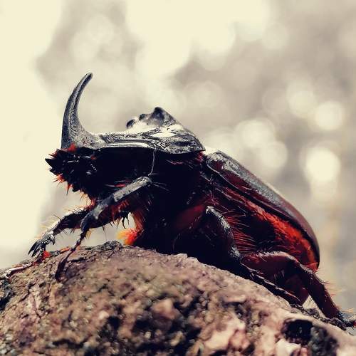 Photo #6293137