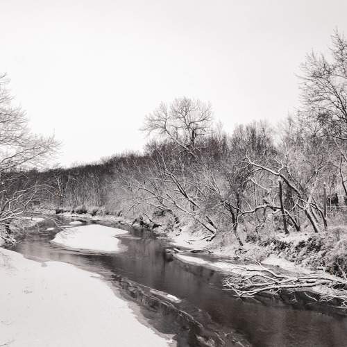 Photo #6293213