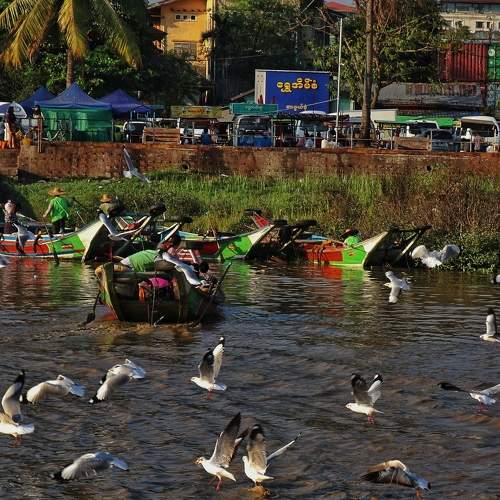 Photo #6293254