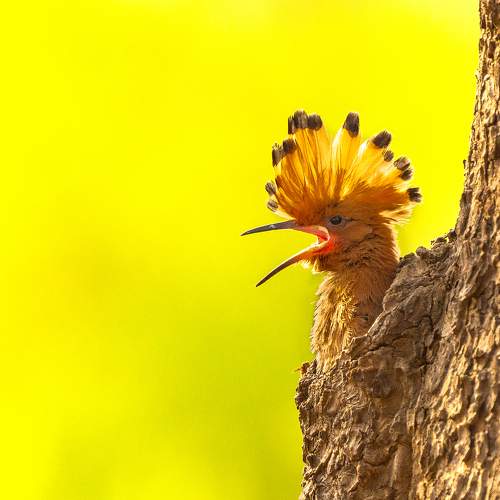 Photo #6293591