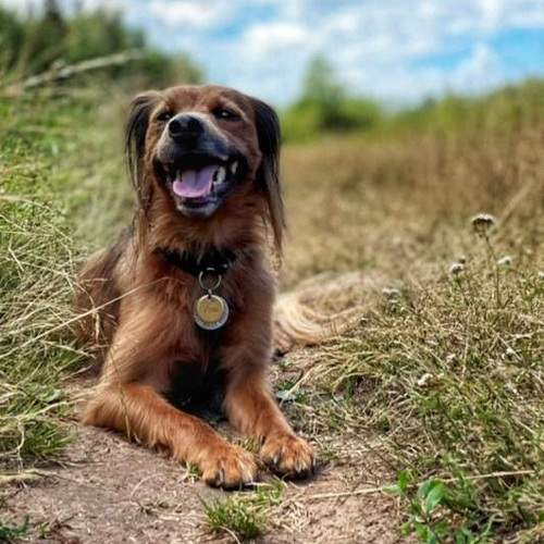 Photo #6293605