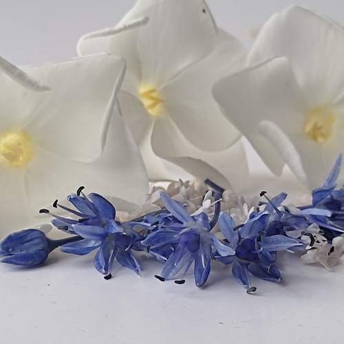 Photo #6294435