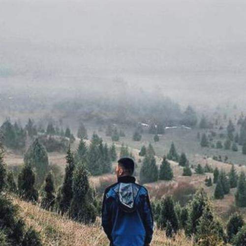 Photo #6294490
