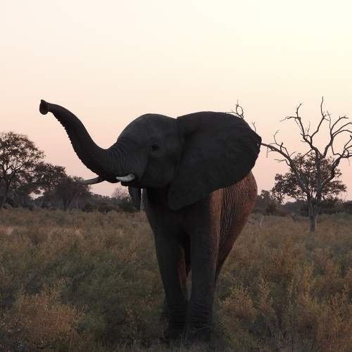 Photo #6294523