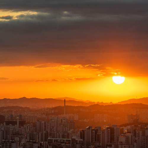 Photo #6294637