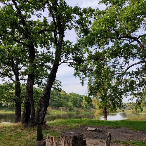 Photo #6294733