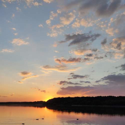 Photo #6294740