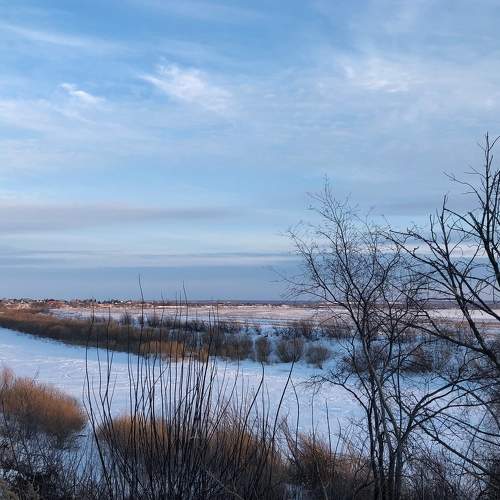 Photo #6295059
