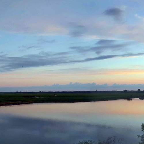Photo #6295825