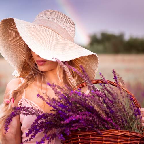 Photo #6295827