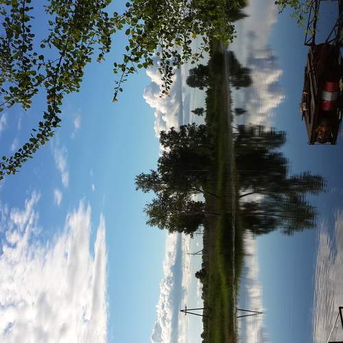 Photo #6295838