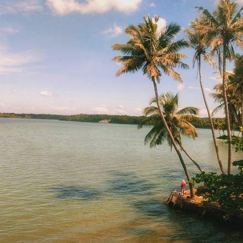 Photo #6296038