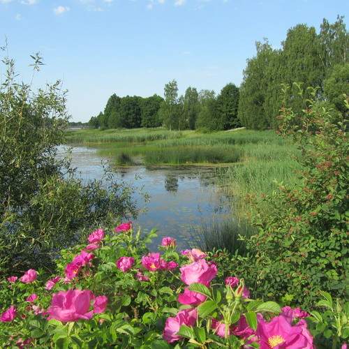 Photo #6296640