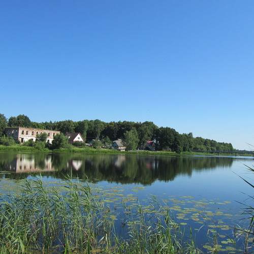 Photo #6296641
