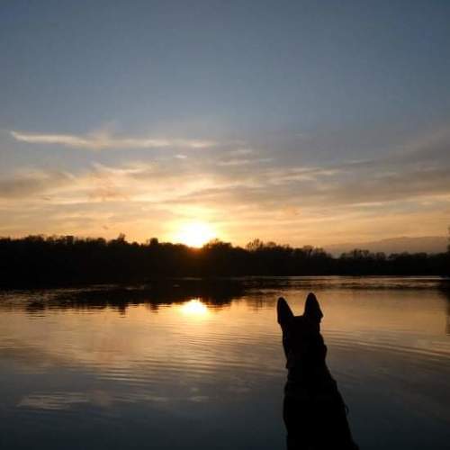 Photo #6296931