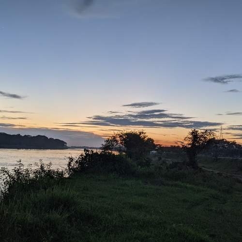 Photo #6297196