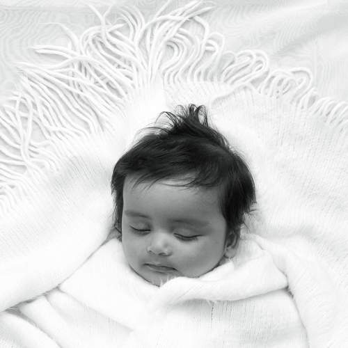 Photo #6297223