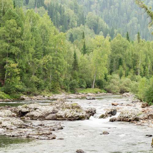 Photo #6297296