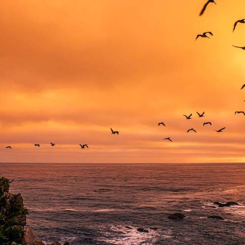 Photo #6297861
