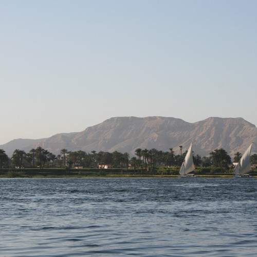 Photo #6297906