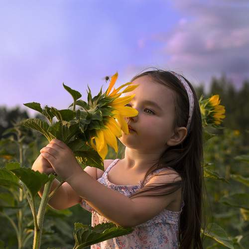 Photo #6297964