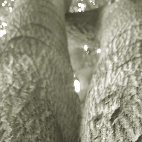 Photo #6297982