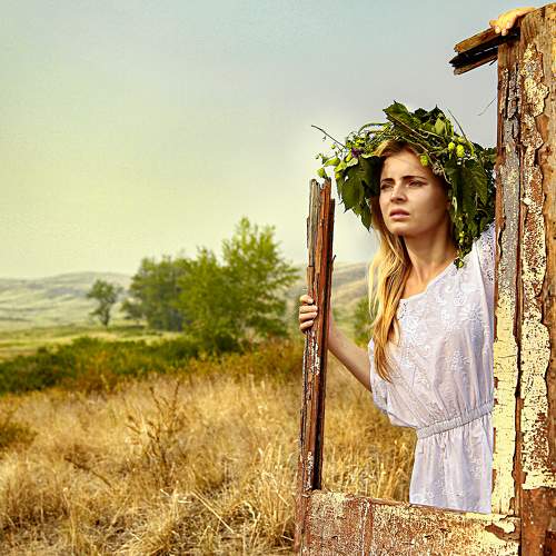 Photo #6298078