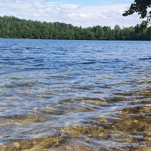 Photo #6298270