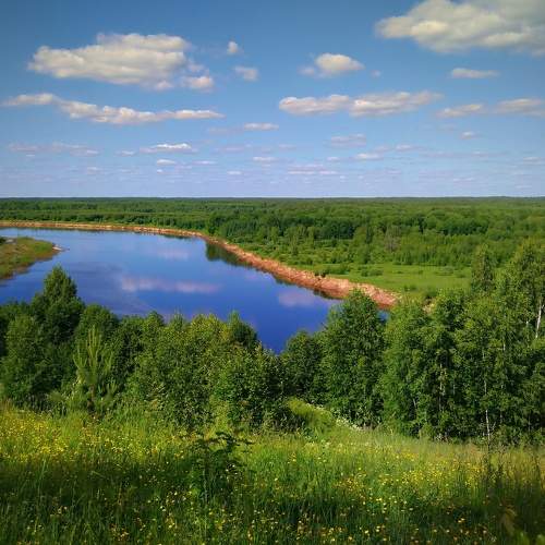 Photo #6298464