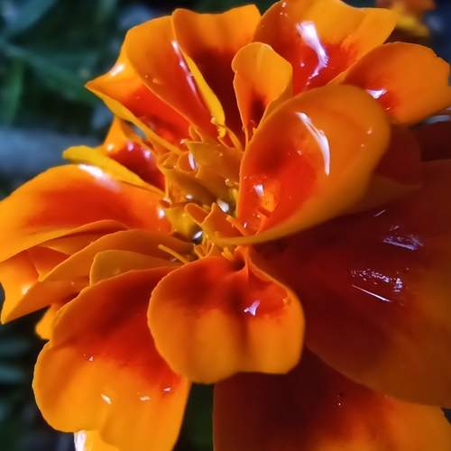 Photo #6298694