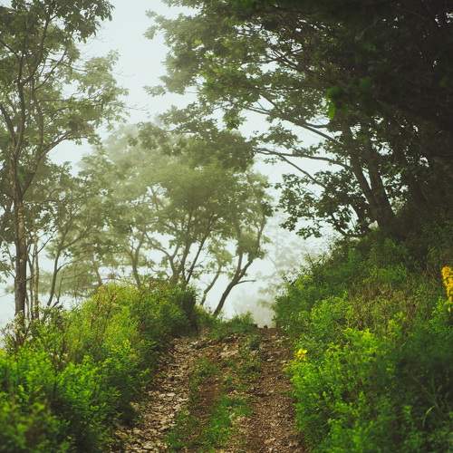 Photo #6298929