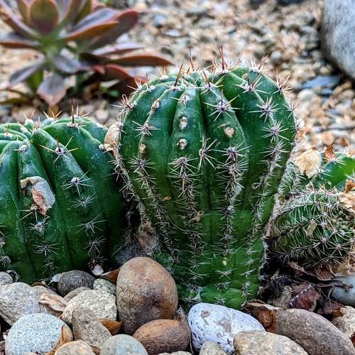Photo #6299018