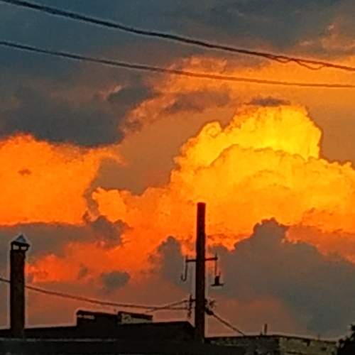 Photo #6299059