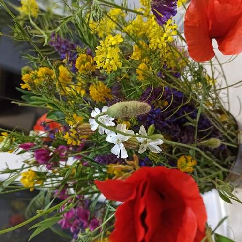 Photo #6299604